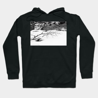 RMNP Winter Study 2 Hoodie